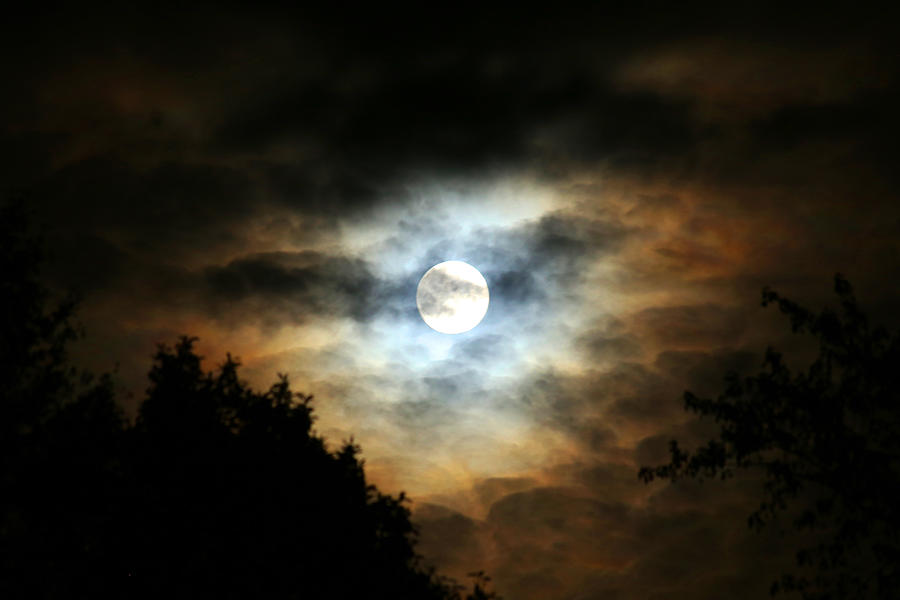 September Moon Photograph by David Stasiak