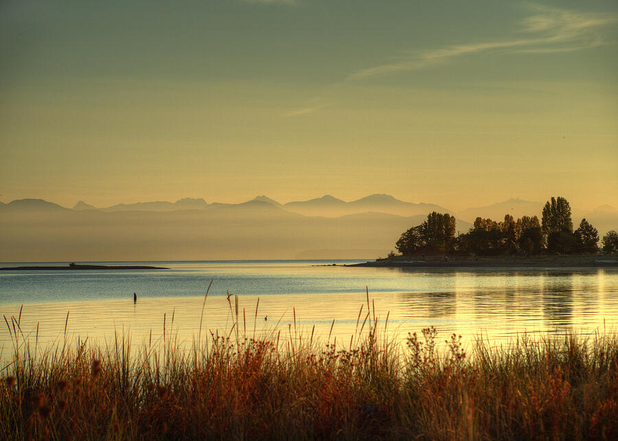 Tree Photograph - September Morn by Randy Hall