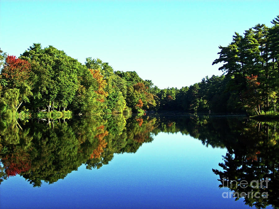 Tree Photograph - September Reflections by Mary Ann Weger