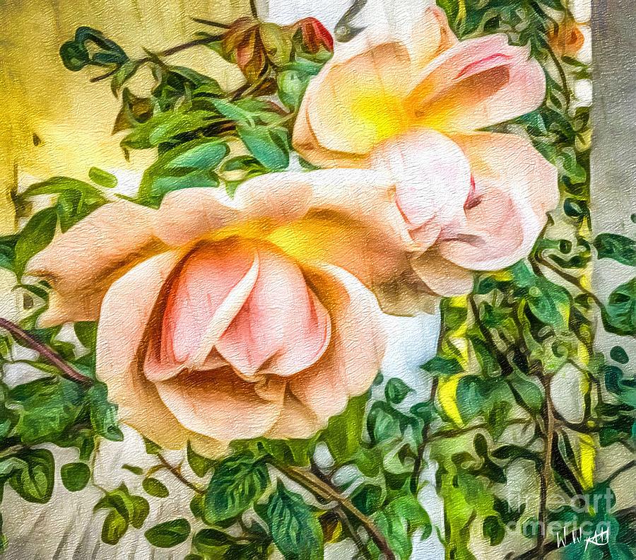 September Roses Photograph by William Wyckoff