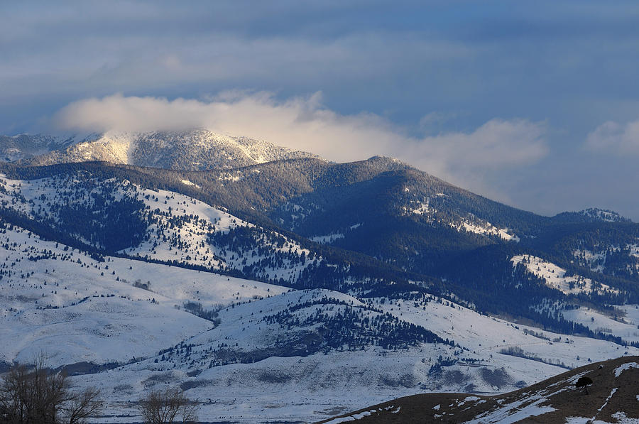 Yellowstone National Park Photograph - Sepulcher Mountain at sunrise near Mammoth Hot Springs in winter by Reimar Gaertner