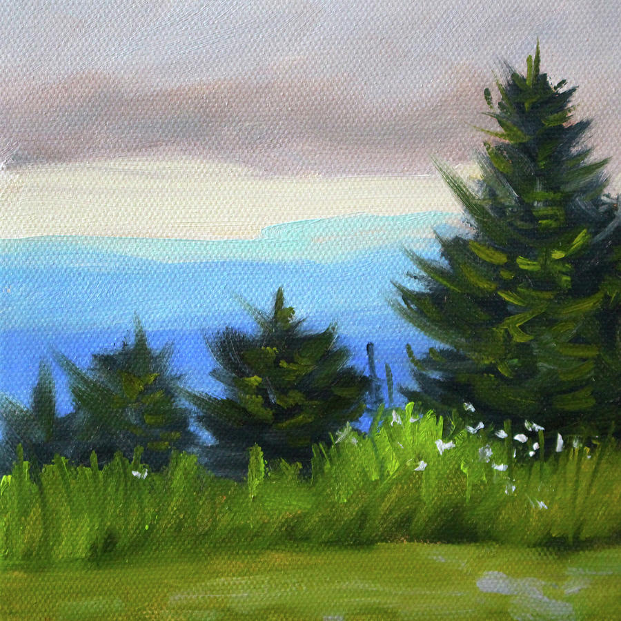 Sequim Vista Painting by Nancy Merkle