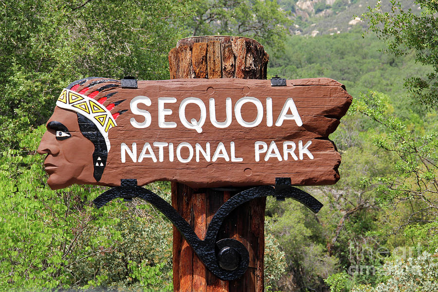 Things to do in Sequoia and Kings Canyon national parks