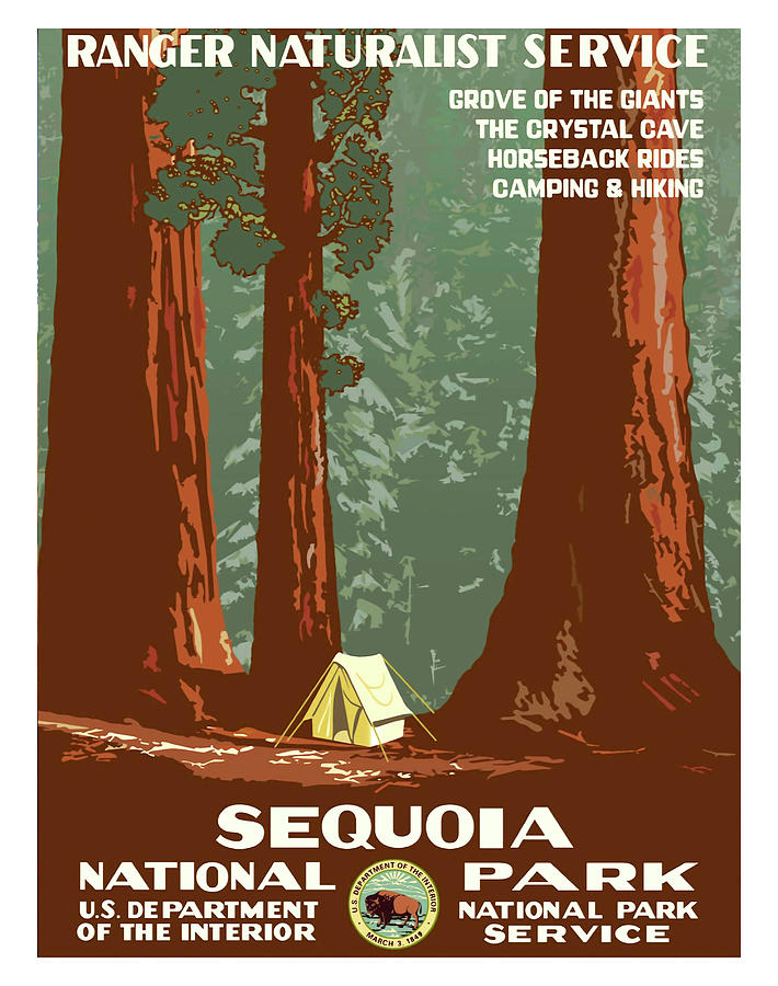 Sequoia, National park, vintage travel poster Painting by Long Shot