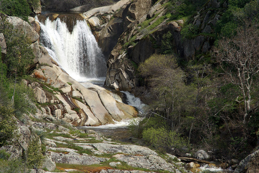 Sequoia River Falls Photograph by Sean Linn - Fine Art America