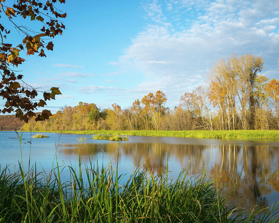 Sequoyah Wildlife Refuge Photograph by My Angle On It Photography ...