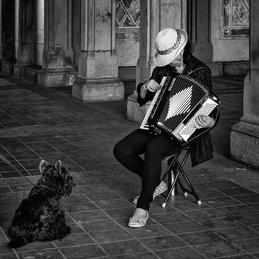 Serenade for a Dog Photograph by Cornelis Verwaal