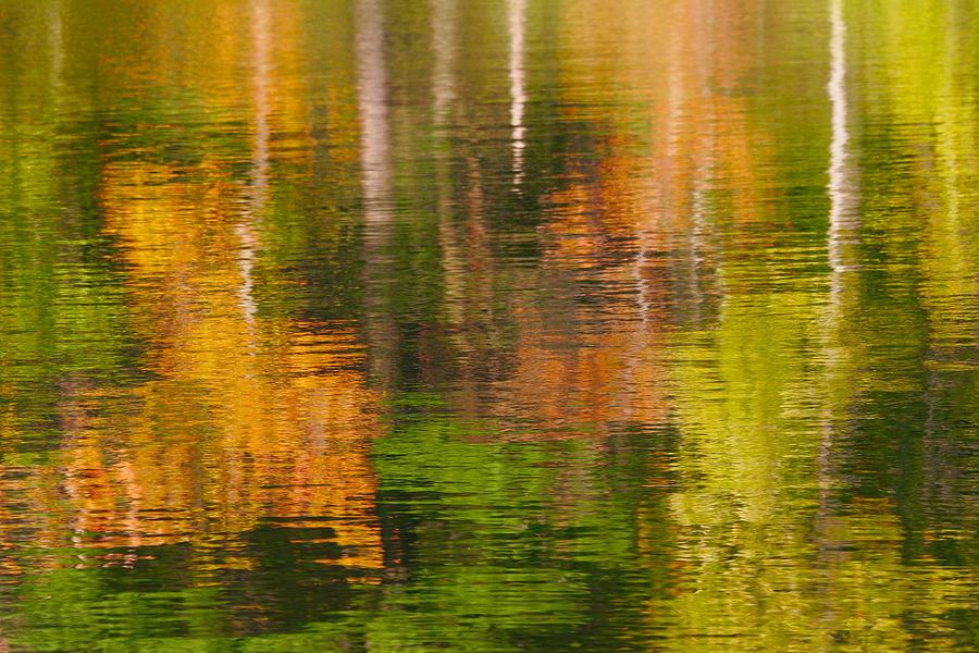 Serene Autumn Reflection Photograph by Polly Castor