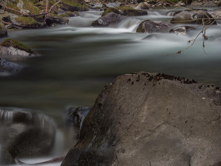 Bridge Photograph - Serene Dog Creek by Michele James