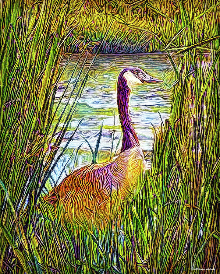 Serene Goose Dreams Digital Art by Joel Bruce Wallach