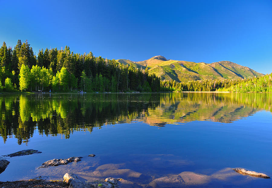Nature Photograph - Serene lake Payton in Utah. by Jay Mudaliar