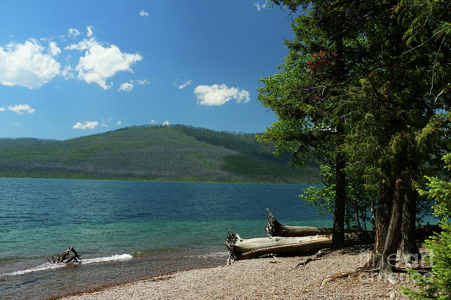 Serene McDonald Lake Photograph by Christiane Schulze Art And Photography