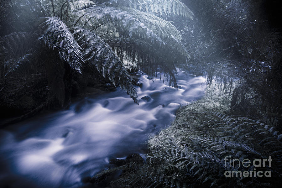 Serene moonlit river Photograph by Jorgo Photography