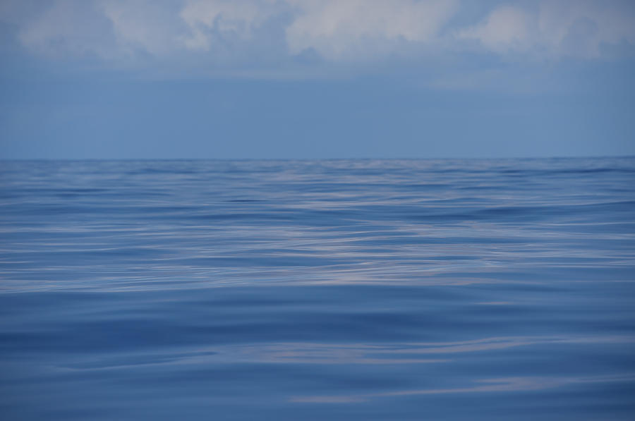 Serene Pacific Photograph by Jennifer Ancker