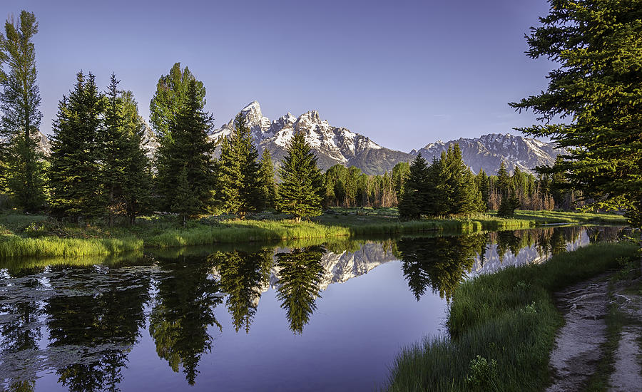 Serene Schwabachers Photograph by Mary Angelini