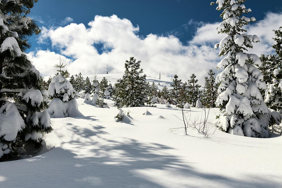 Serene Sierra Snow Photograph by Jim Thompson