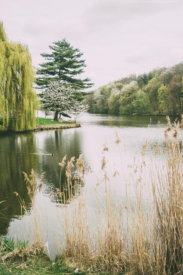 Serene Spring Lake Photograph by Pati Photography