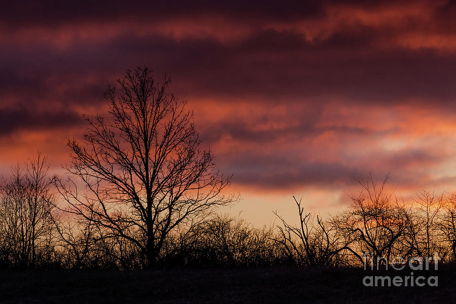 Serene Sunrise Sky Photograph by Cheryl Baxter