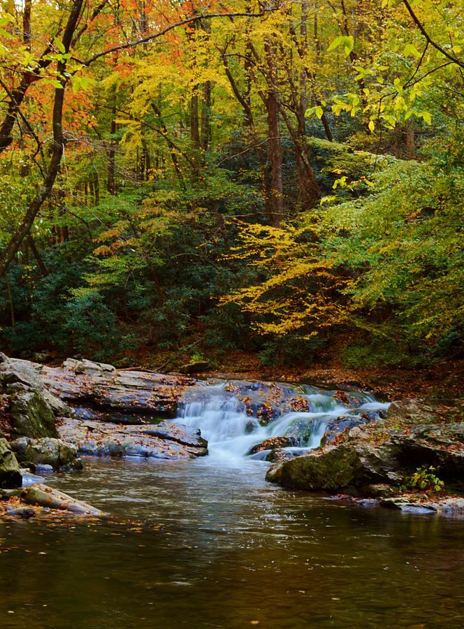 Fall Photograph - Serene Waterfall in the Woods by Patricia Twardzik