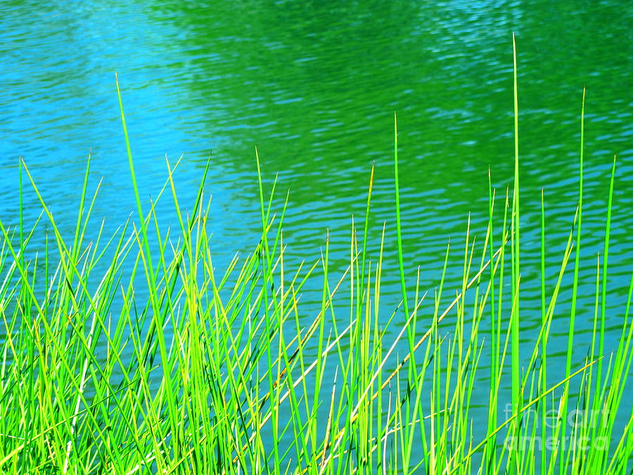 Serenely Aqua Photograph by Sybil Staples