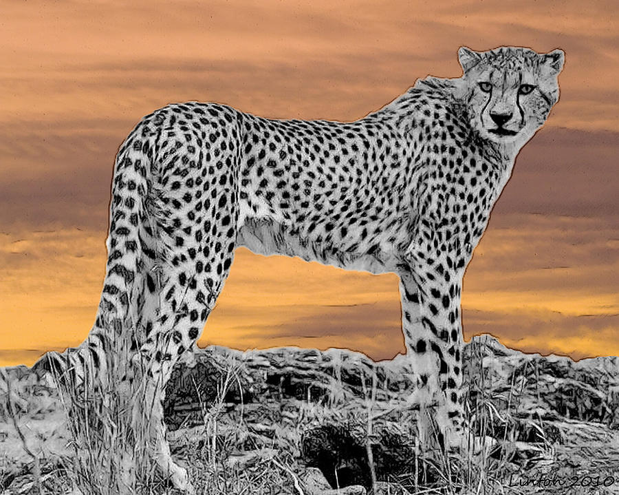 Serengeti Cheetah Digital Art by Larry Linton.
