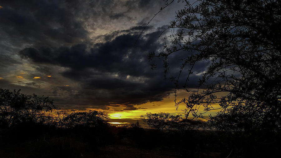Serengeti Sunrise in Tanzania Photograph by Marilyn Burton