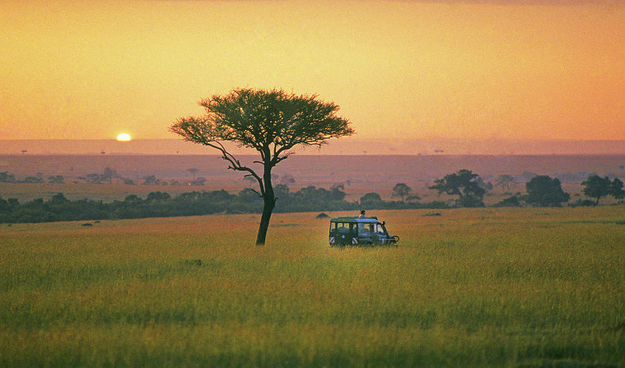 Serengeti Sunrise, Tanzania, East Africa Photograph