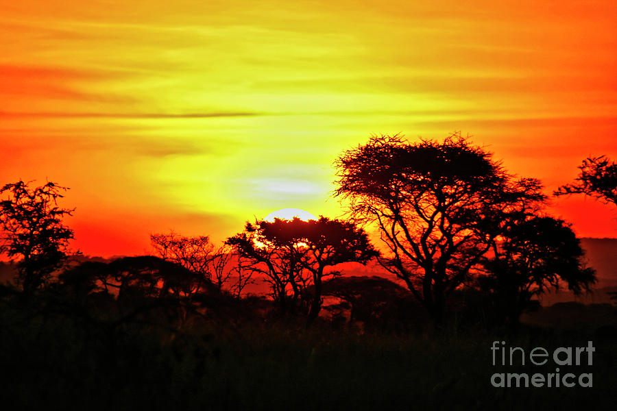 Serengeti Sunset Photograph by Bruce Block