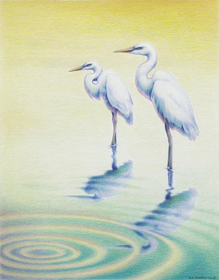 Bird Drawing - Serenity by Amy S Turner