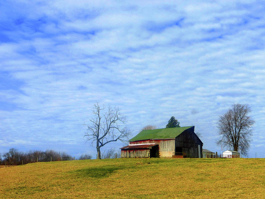Barn Photograph - Serenity Barn And Blue Skies by Tina M Wenger