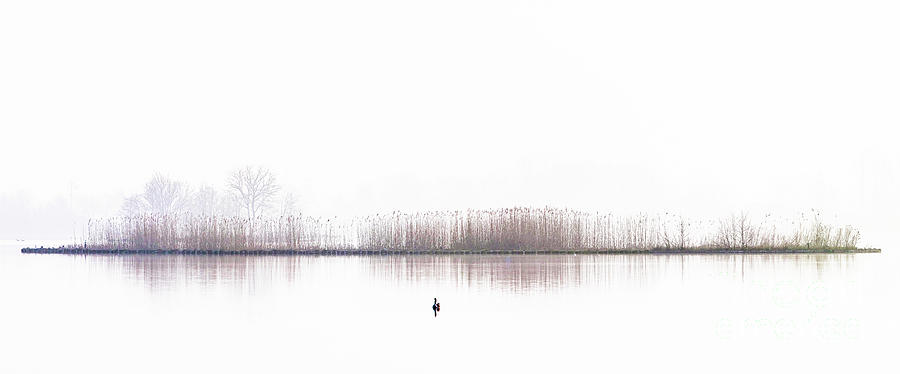 Serenity Photograph by Casper Cammeraat