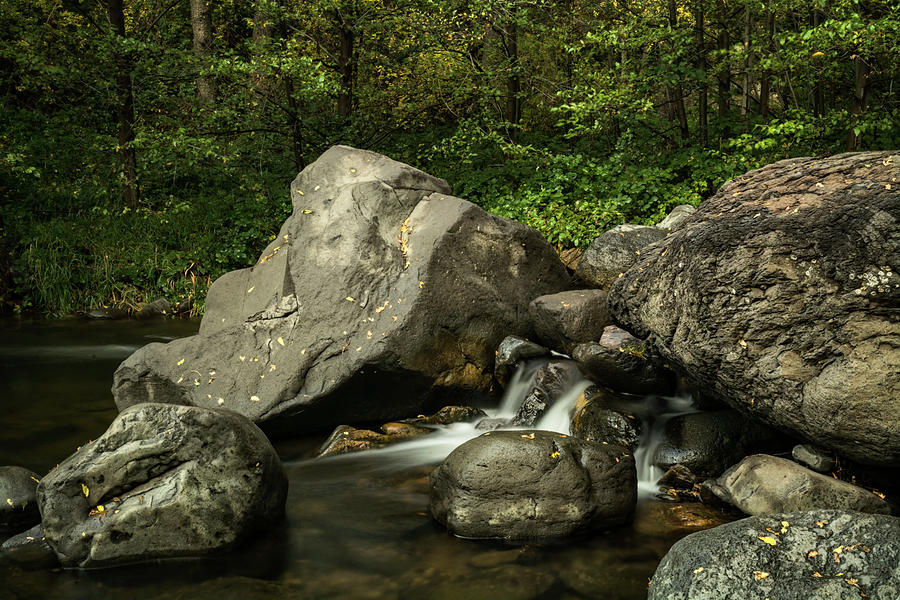 Serenity Creekside  Photograph by Saija Lehtonen