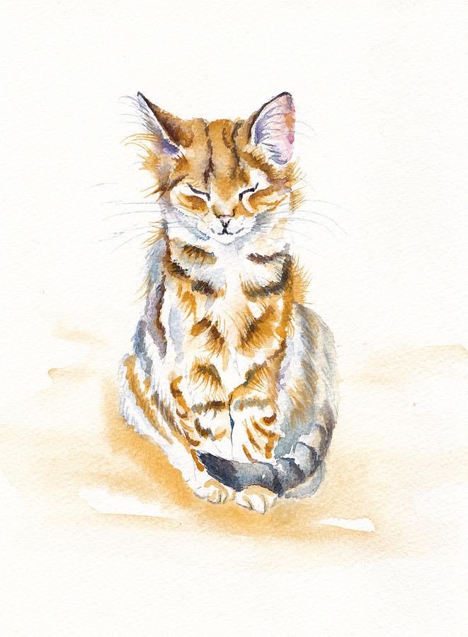 Cat Painting - Serenity - Meditating Tabby Kitten by Debra Hall