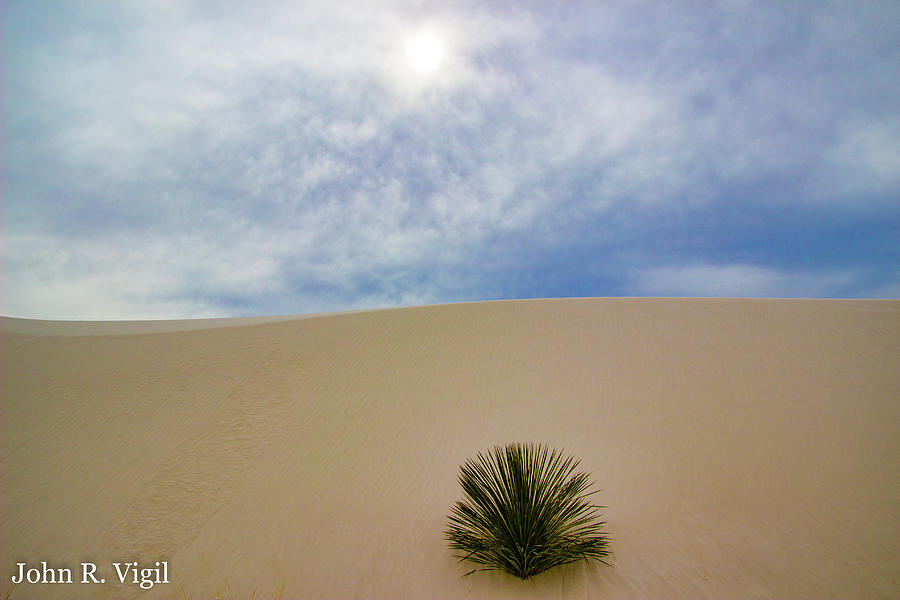 Desert Photograph - Serenity II by John Vigil