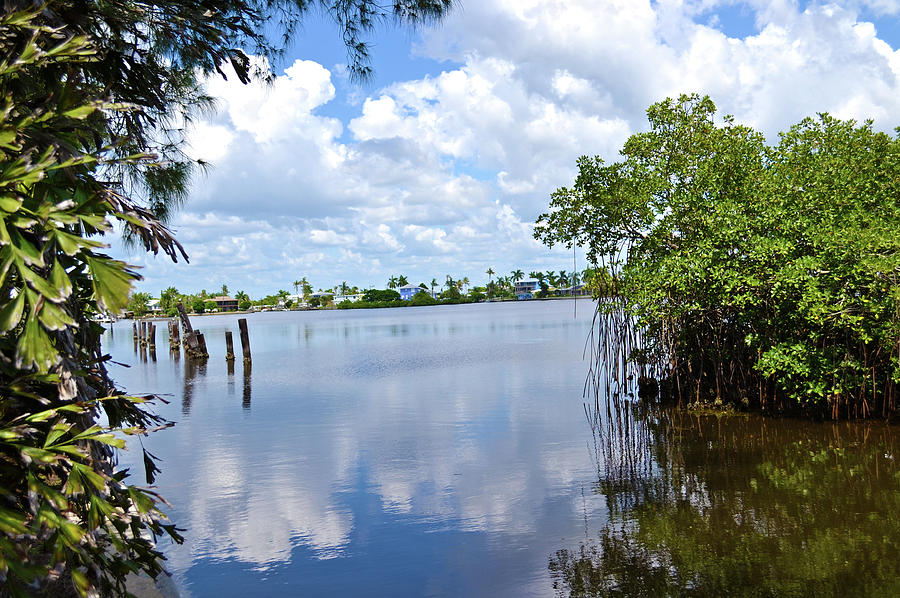 Cape Coral Photograph - Serenity in Matlacha Florida by Timothy Lowry