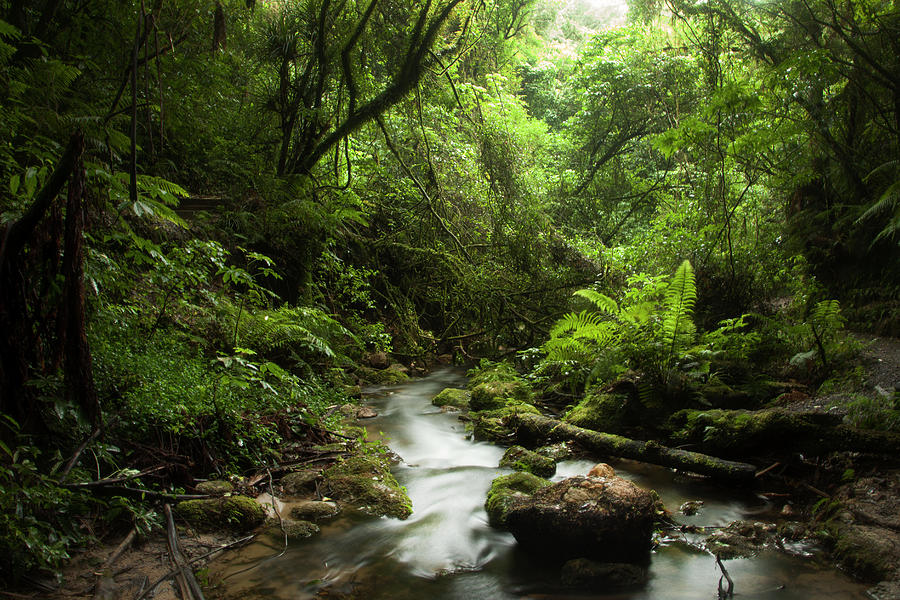 serenity in Nature Photograph by Joanne Marshall - Fine Art America