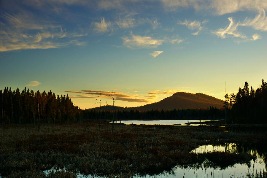 Serenity in the Adirondack Wetlands Photograph by Amanda Jones