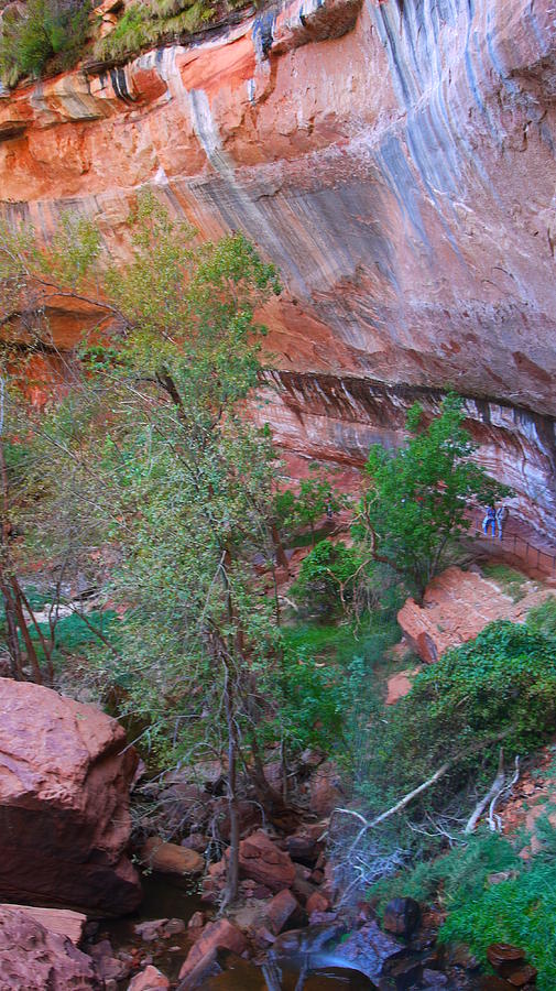 Zion National Park Photograph - Serenity in Zion by Bethany Diaz