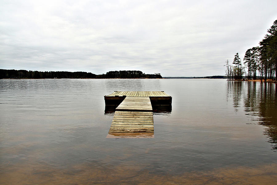Serenity by Nadine Lewis Serenity by Nadine Lewis