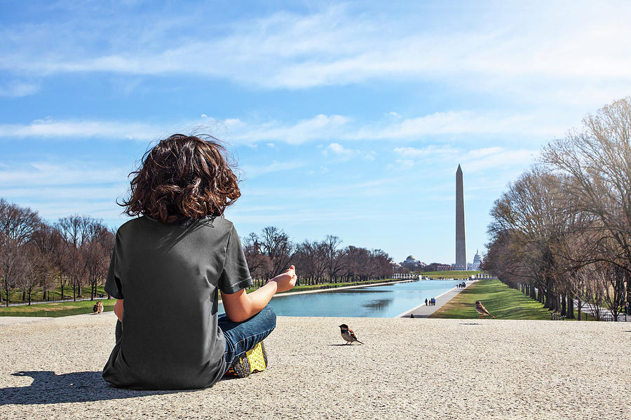 Serenity On The National Mall Photograph