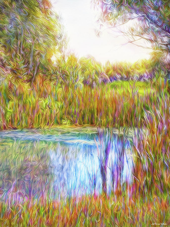 Serenity Reflections Digital Art by Joel Bruce Wallach
