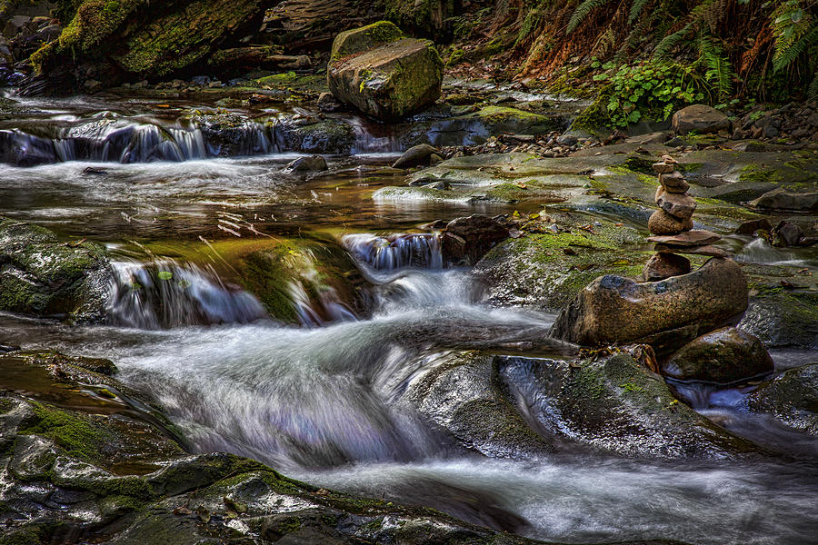 Serenity Stream Photograph by Diana Powell