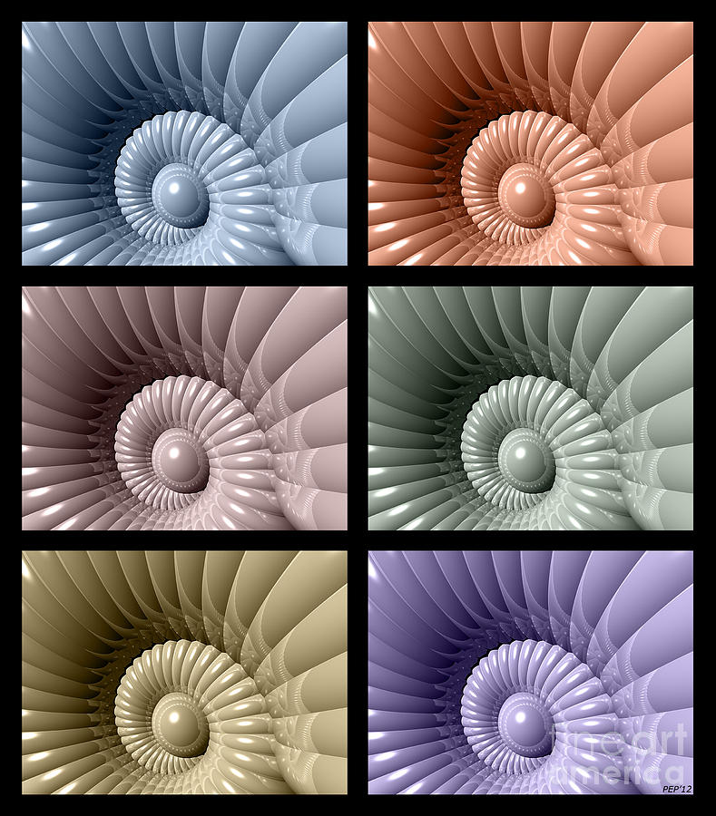 Series of Sea Shells Digital Art by Phil Perkins