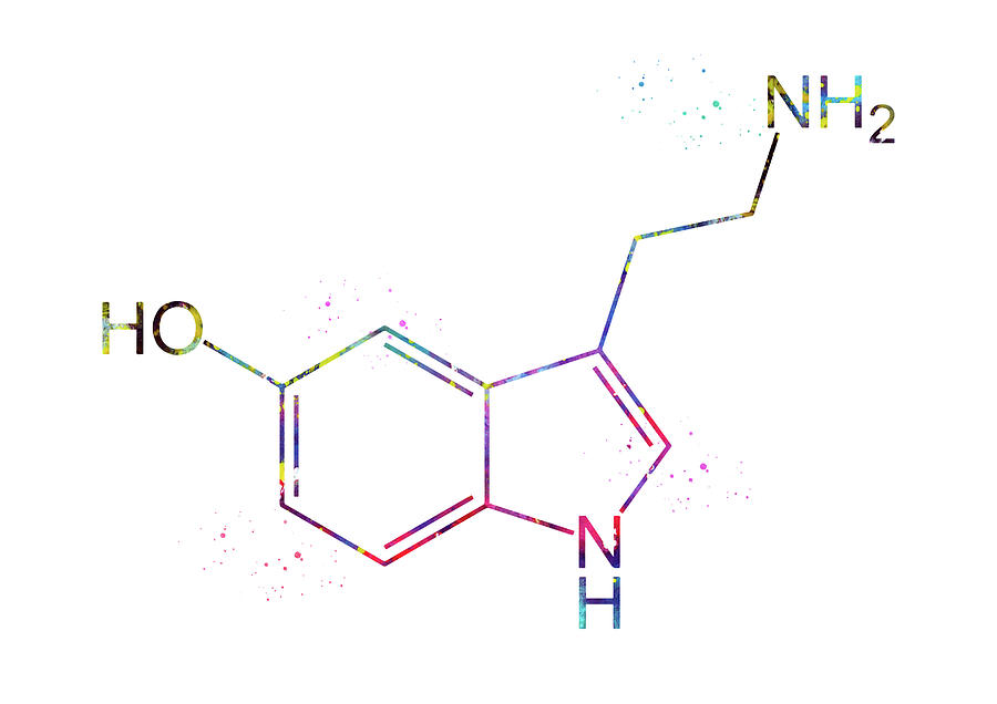 Serotonin Molecule 2 Digital Art By Erzebet S
