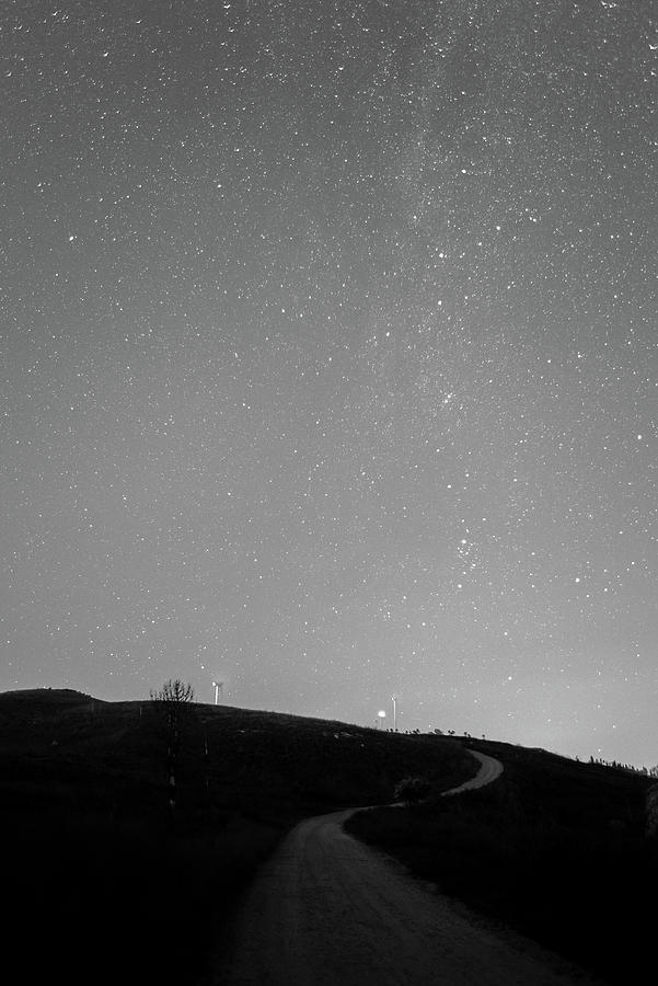 Serpent by Bruno Rosa Serpent by Bruno Rosa