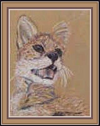 Serval Cat Pastel Pastel by Julia Woodman
