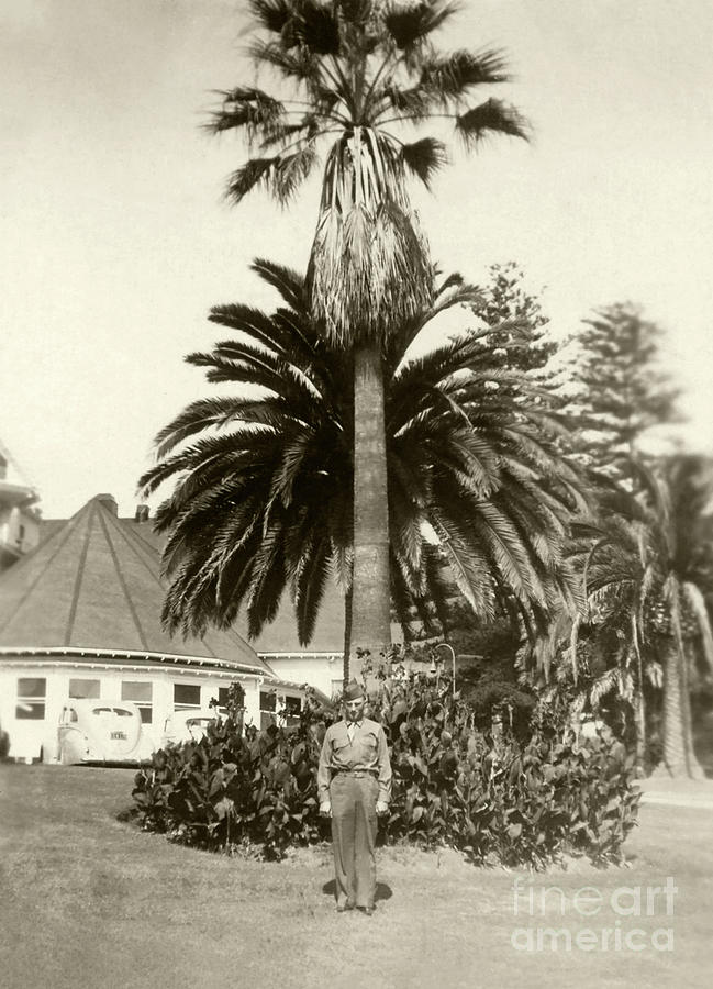 Serviceman Hotel del Coronado 1940s Photograph by Sad Hill - Bizarre Los Angeles Archive