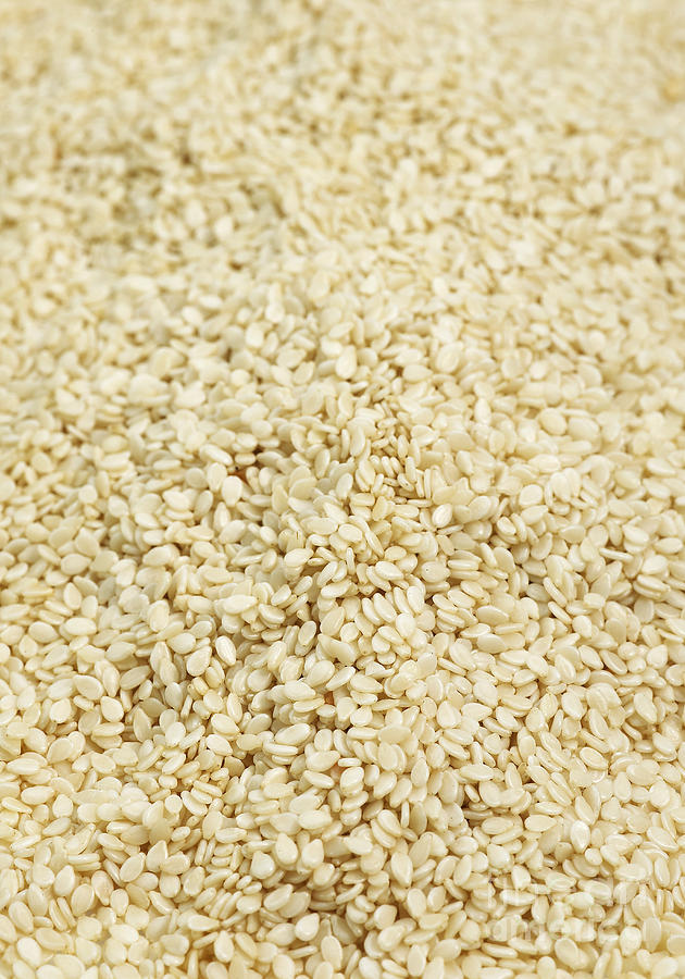 Sesame Seeds Photograph by Gerard Lacz