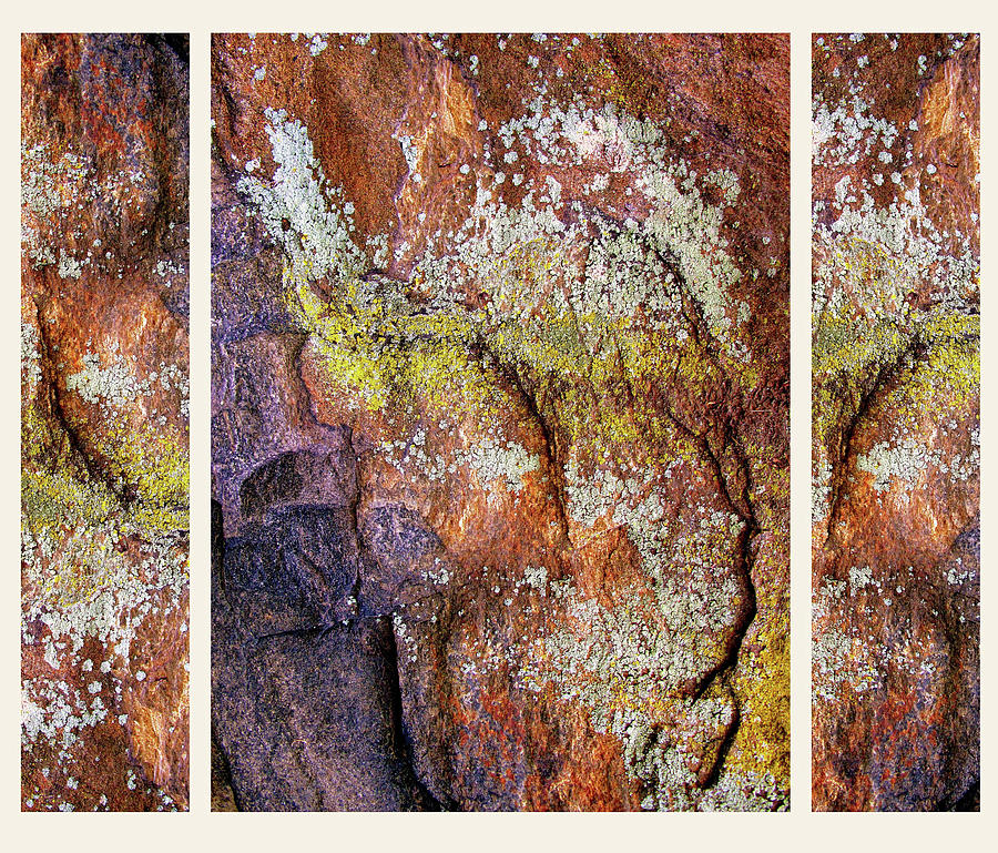 Set in Stone Triptych Photograph by Jessica Jenney