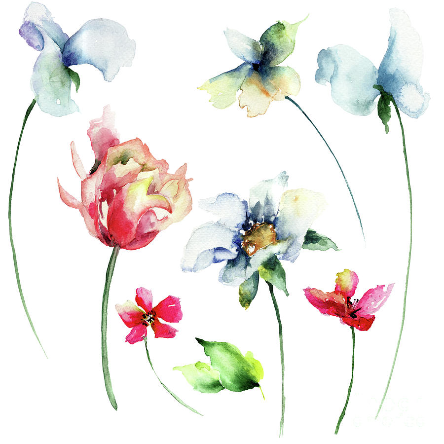 Set of flowers Painting by Regina Jershova